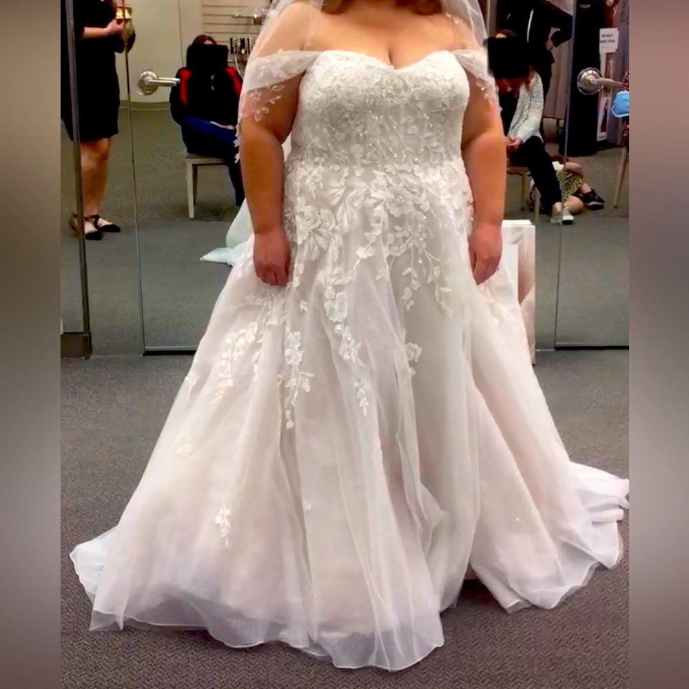 David’s Bridal Wedding Dress and Veil